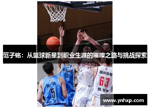 范子铭：从篮球新星到职业生涯的璀璨之路与挑战探索