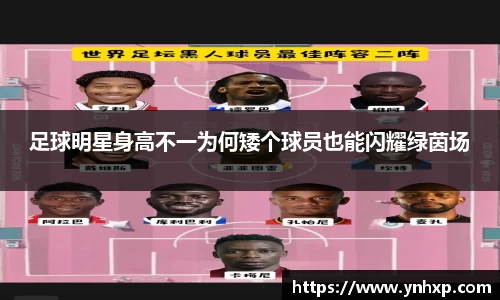 彩神官方网站