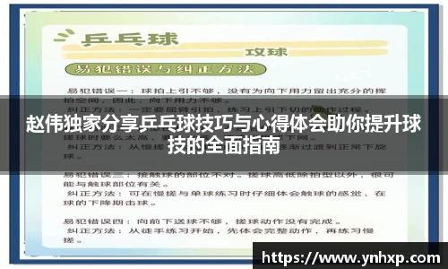 赵伟独家分享乒乓球技巧与心得体会助你提升球技的全面指南